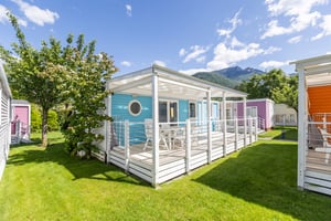 Azaleen im Freien 9-1